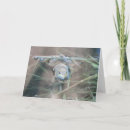 Search for serenity prayer cards Christianity