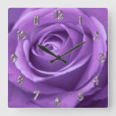 Search for purple clocks Nature