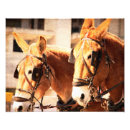 Search for mule decor Rodeo