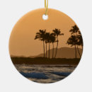 Search for kauai ornaments Sunset