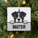 Search for american staffordshire terrier ornaments Amstaff