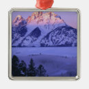 Search for grand teton national park ornaments Mountain
