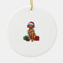 Search for rhodesian ridgeback ornaments Weimaraner