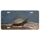 Search for turtle license plates Animal