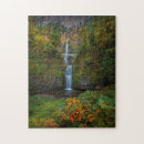 Search for oregon puzzles Bridge