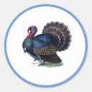 Search for wild turkey stickers Autumn