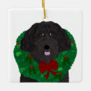 Search for labradoodle ornaments Animals