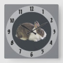 Search for dutch rabbit decor Pet