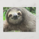 Search for zootopia sloth Cute