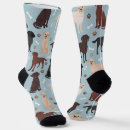 Search for labrador retriever socks Black lab