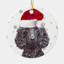 Search for poodle ornaments Miniature