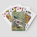 Search for duck playing cards Fun