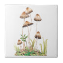 Search for mushroom tiles Woods