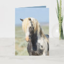 Search for equine holiday cards Wild horses