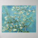 Search for almond blossom by vincent van gogh posters Flowers