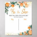 Search for baby gender voting posters He or she
