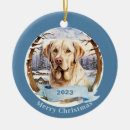 Search for labrador retriever ornaments Watercolor