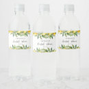 Search for lemon water bottle labels Italian
