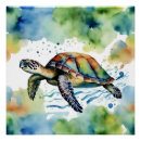 Search for turtle lover gifts Tropical