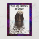 Search for otter postcards Funny