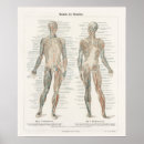 Search for biology posters Science