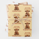 Search for highland cow wrapping paper Cute