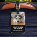 Search for corgi luggage tags Canine