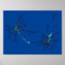 Search for neuroscience posters Neurology