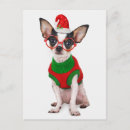 Search for chihuahua postcards christmas cards pets
