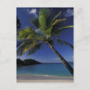 Search for st john virgin islands postcards Trunk bay