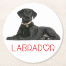 Search for dog coasters Labrador retriever