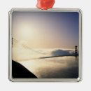 Search for san francisco ornaments United states of america