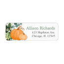 Search for fall labels Eucalyptus