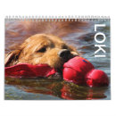 Search for loki gifts Cute