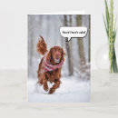 Search for funny irish birthday cards Dog