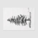 Search for pine tree tissue paper Decoupage