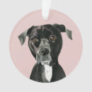 Search for pit bull ornaments dog