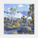 Search for california magnets Desert