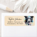 Search for border collie return address labels Animal lover
