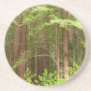 Search for wood coasters Trees