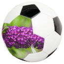 Search for purple soccer balls Summer