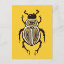 Search for insect postcards Unique