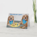 Search for dog hanukkah cards Dreidel