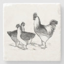 Search for chicken coasters farm animal