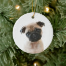 Search for pug ornaments Portrait