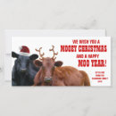 Search for farm christmas cards Cow