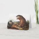 Search for cute drawings cards Wildlife