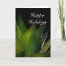 Search for arizona christmas cards Succulent