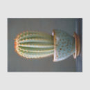 Search for cactus tissue paper Cacti