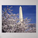 Search for festival posters Flower